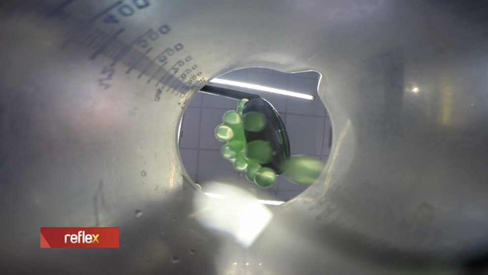 Guľôčková mánia: Čo v skutočnosti obsahujú takéto čaje?