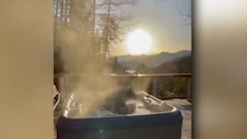 Muža na chate prekvapil medveď vo vírivke. Pozrite si, ako si užíval kúpeľ