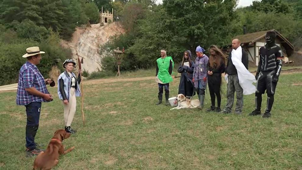 Farmári sa opäť predviedli: Hospodár im naparil trest, s akým absolútne nepočítali