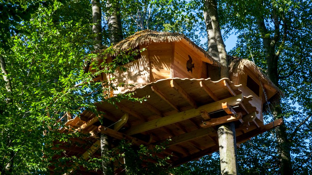 FOTO: V Bratislave otvorili ubytovanie na strome