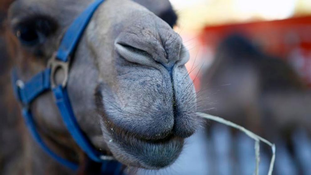 Tucet tiav museli vyradiť zo súťaže krásy. Kvôli botoxu v perách