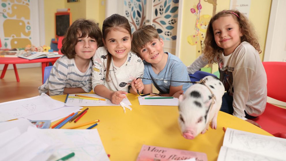 Rekordne sledovaní Oteckovia na čele rebríčka sledovanosti!