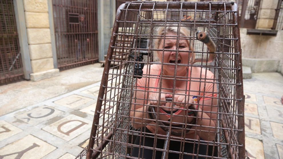 Vycikal sa Evelyn na hlavu tiger?