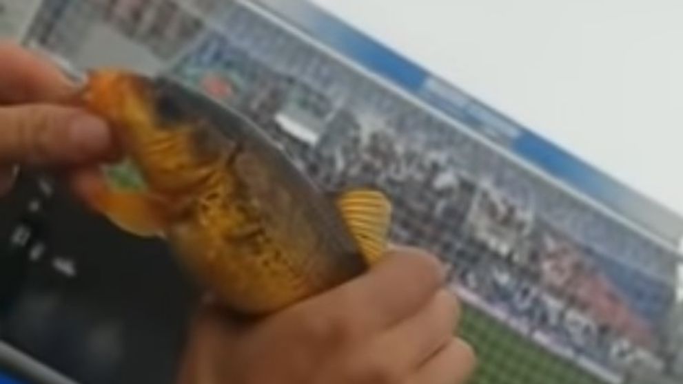 Pocit hanby, aký ešte nezažili: Nahí v jednej posteli!