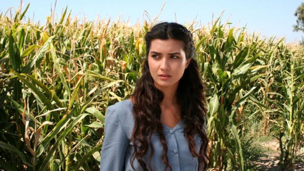 A dosť! Pohár trpezlivosti definitívne pretiekol, Asi a Ziya sa bránia!