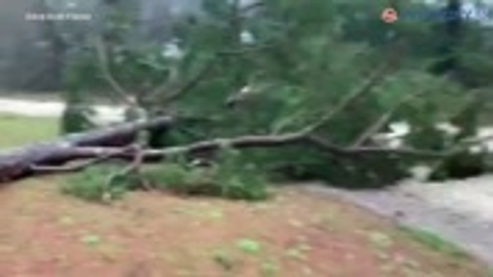 Romantické vyznanie partnera Nely Pociskovej: Spravila zo mňa muža!