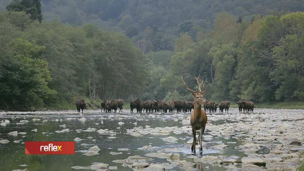Na záberoch pracujú aj roky