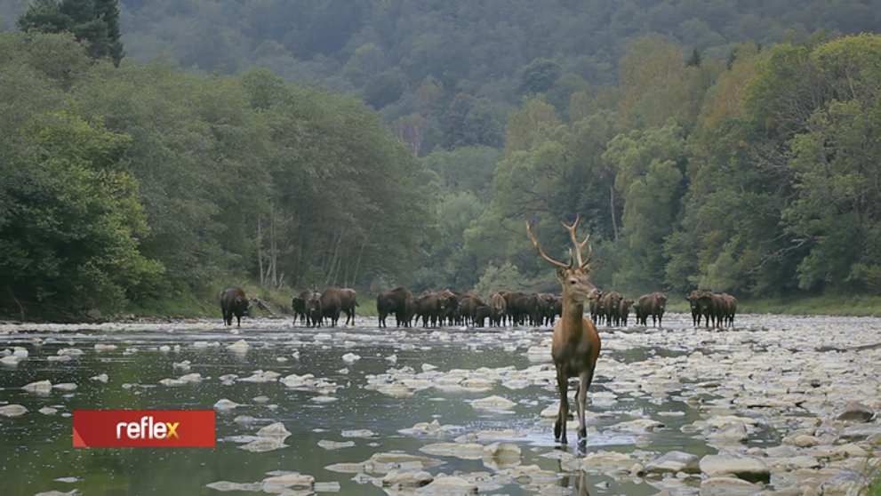 Na záberoch pracujú aj roky