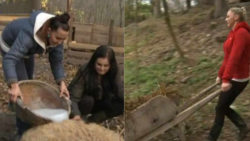 O miesto na Farme je poriadna bitka! Mapujeme kastingy! Už chýbaš len ty!