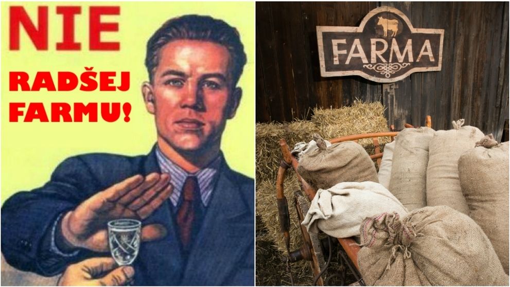 Múdra charakteru ľudového, alebo čo na srdci, to na jazyku