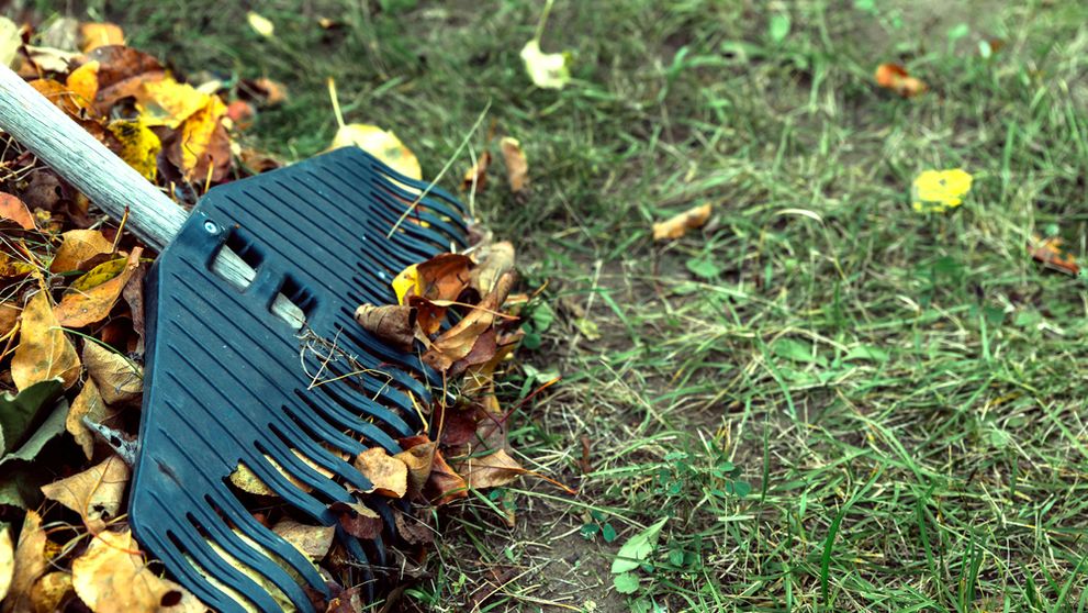 Pripravte dom, záhradu a terasu na príchod zimy
