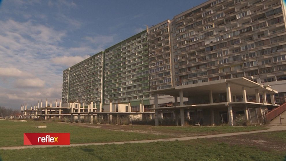 Čo je nové v kauze Domino?