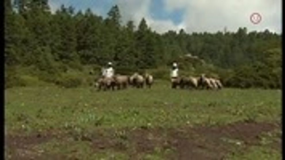 Legendárna Esmeralda je späť: Čo pre úlohu obetovala hlavná hrdinka?