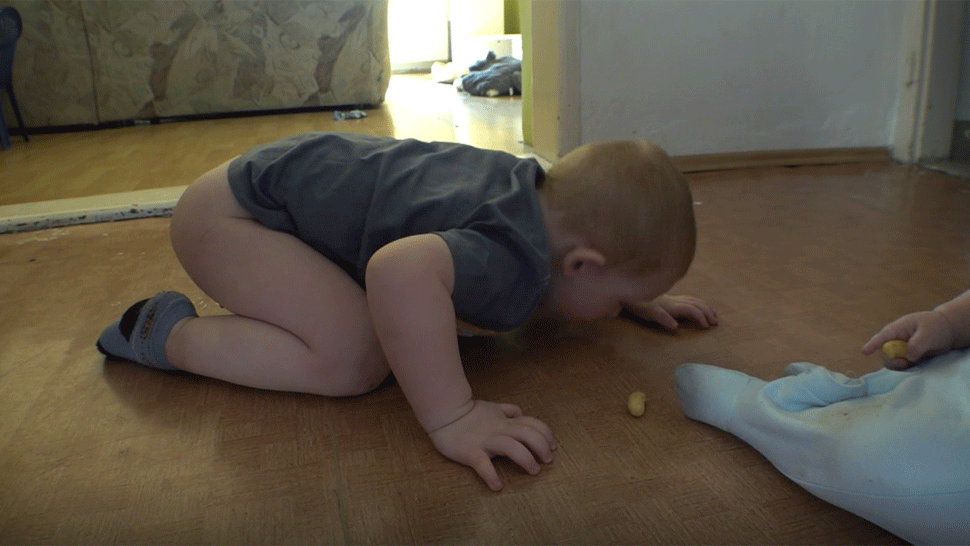 Vlastné deti nechá jesť zo zeme. Matka sa im nevenuje, a tak opakujú po psovi