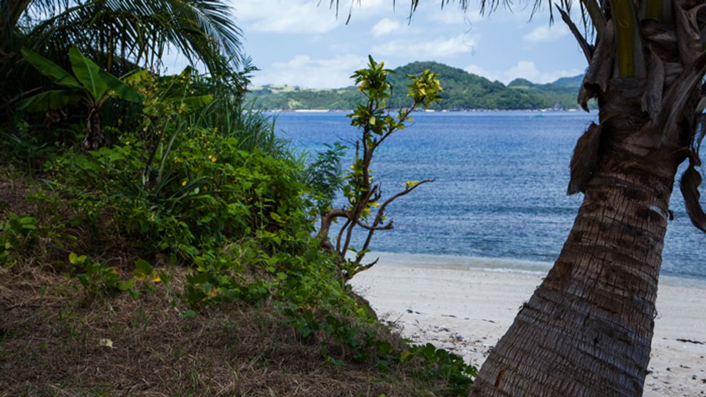 Na prvý pohľad raj! Vieme, aké nebezpečné monštrá číhajú na Ostrove