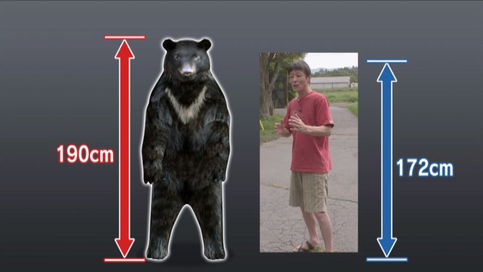 Majster karate verzus rozzúrený medveď... 1:0!