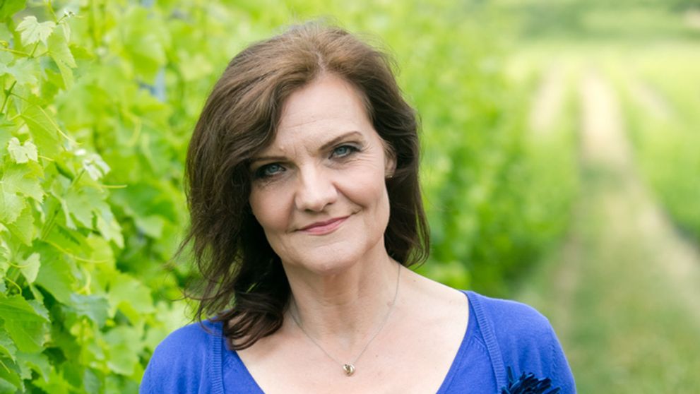 Búrlivé víno: 421. a 422. epizóda