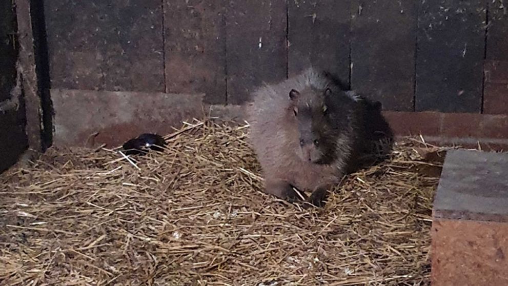 Konečne je to vonku: Xénia a Lukáš priznali, že tvoria pár!