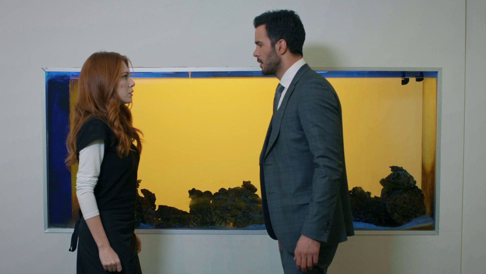 Pre Defne a Ömera je nečakané stretnutie po rozchode šokom