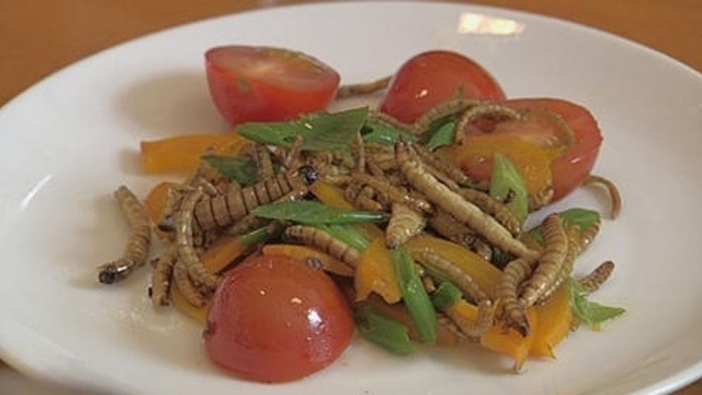 Hmyz ako gurmánska pochúťka!