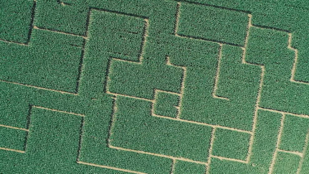 Chcete sa stratiť v kukurici? Ukážeme vám unikátne a obrovské slovenské bludisko