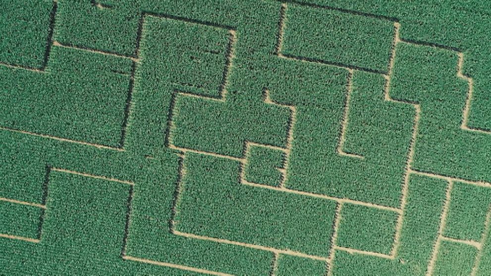 Chcete sa stratiť v kukurici? Ukážeme vám unikátne a obrovské slovenské bludisko