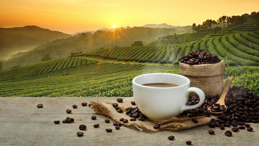 Pripravte si letné drinky s kávou