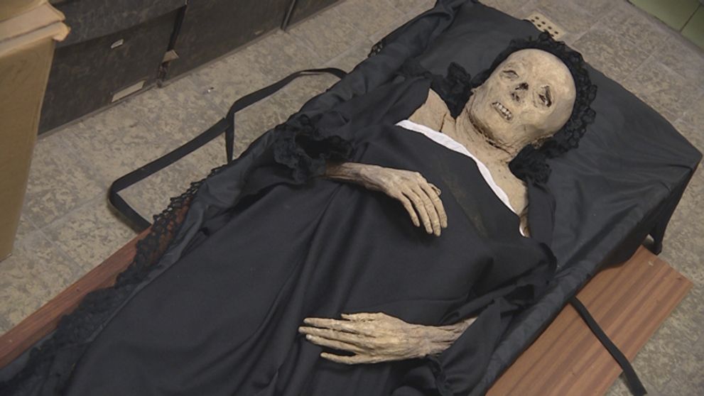 Krásnohosrká múmia na cétečku