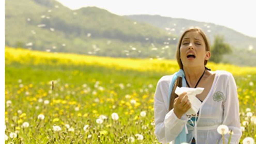 Trápia vás alergie? Sledujte našu poradňu v Teleráne!