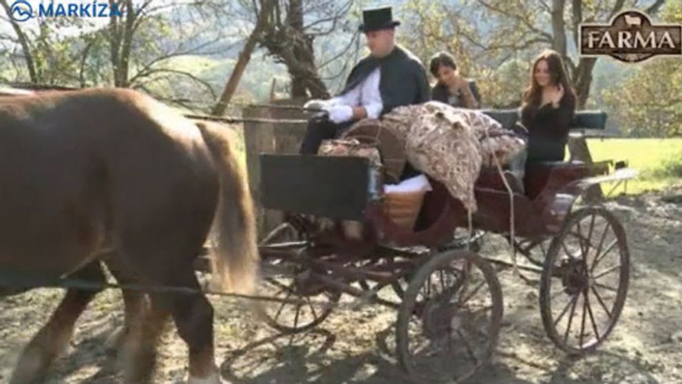 Farmu opustili dve sexice: Čo si myslia o farmároch?