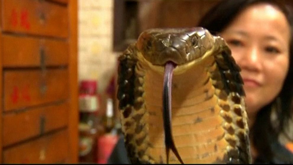 Rodičia si bývanie pochvaľujú, deti sa hanbia