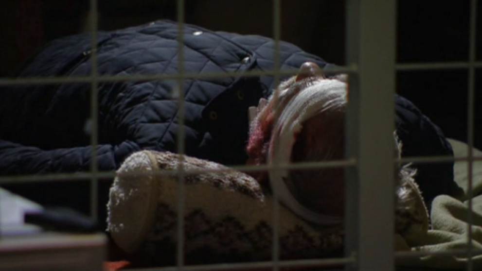 Stanovi Roznerovi hrozí smrteľné nebezpečenstvo!