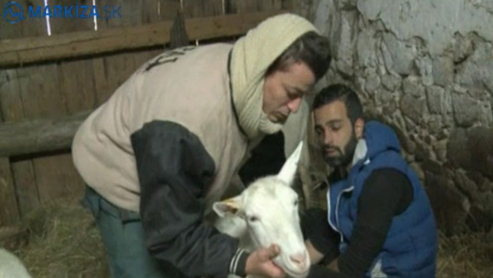 Reza odhaľuje svoje vnútro: Je mu smutno za rodinou!