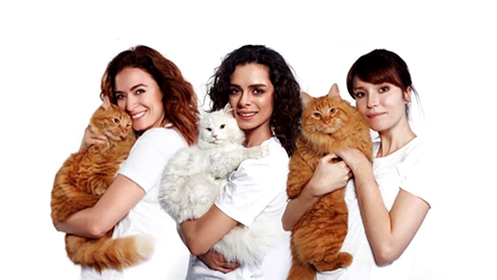 Jedna krajšia ako druhá: To sú ale mač... Eh, kočky! :-)