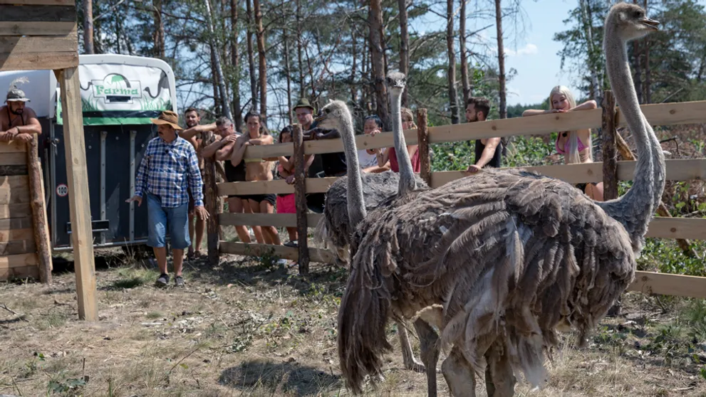 Máte sa na čo tešiť! Obrovské prekvapenie, aké sme na Farme ešte nemali