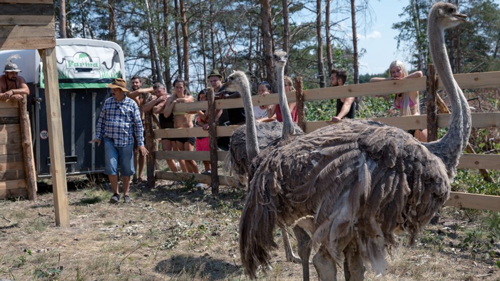 Máte sa na čo tešiť! Obrovské prekvapenie, aké sme na Farme ešte nemali