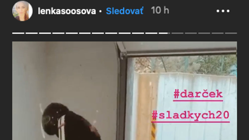 Adam Ďurica na dojemných záberoch s deťmi: Bude z jeho syna génius?