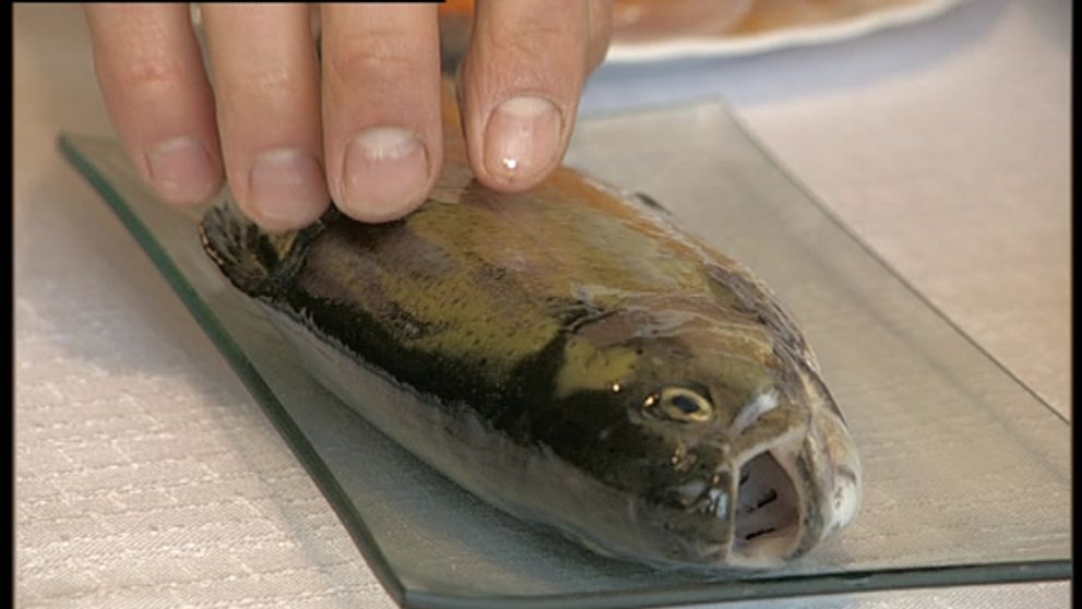 Viete rozoznať čerstvé potraviny?