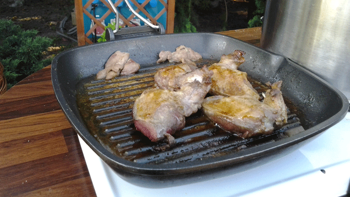 Nie je všetko holub na streche! Niekedy aj na panvici!