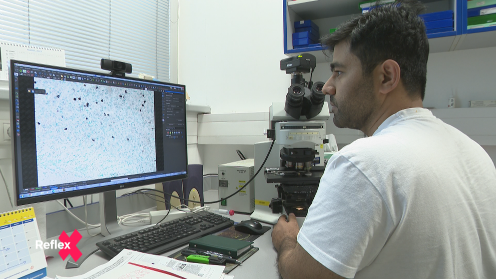 Afganskí študenti na Slovensku