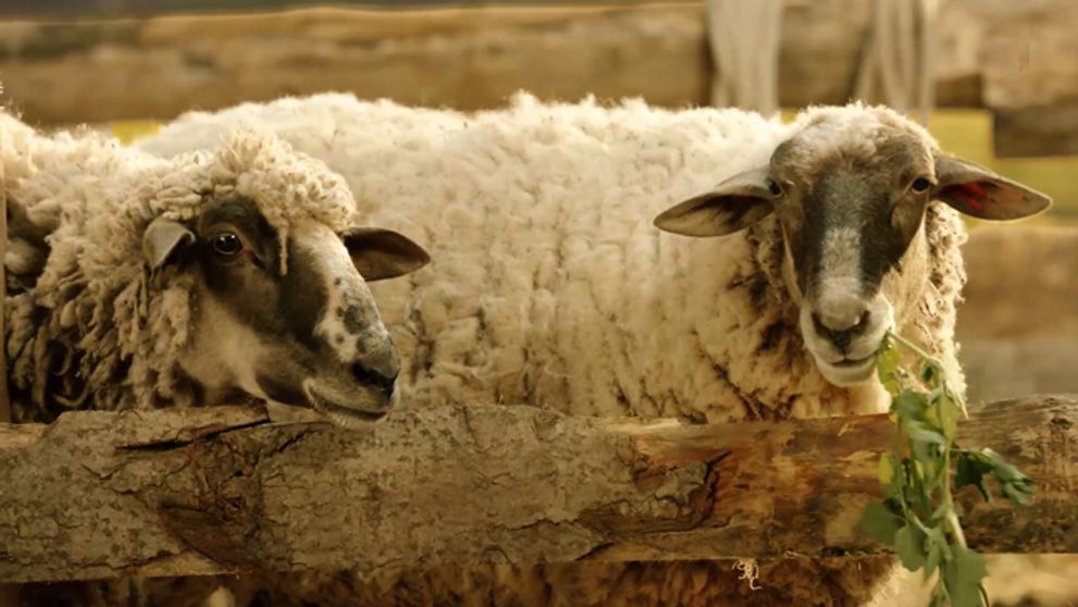 Nová Farma sa blíži! Pozrite si prvé promo