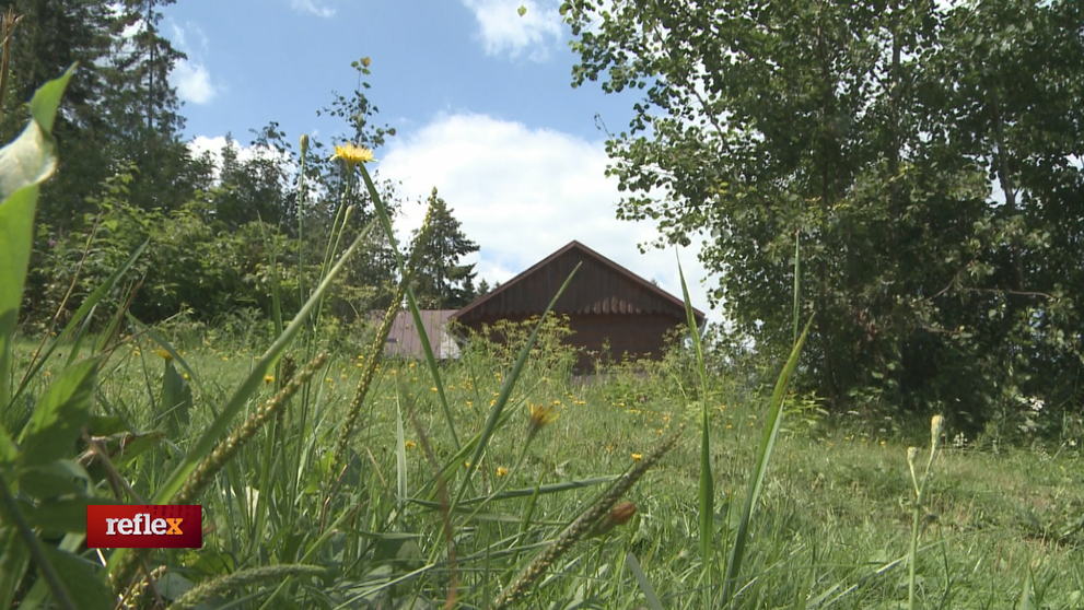 Vynaliezavosť niektorých podnikateľov evidentne nepozná hraníc