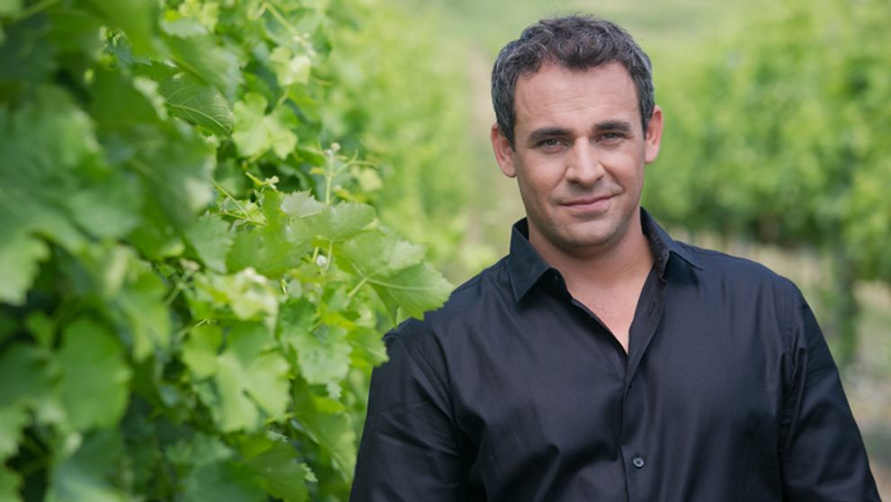 Búrlivé víno: 315. a 316. epizóda