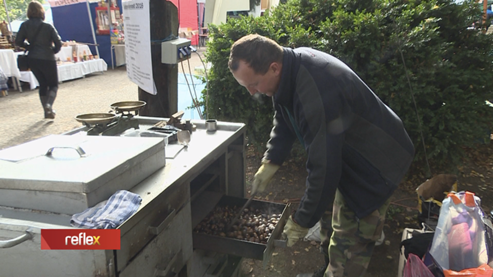 Vedeli ste, že na Slovensku máme Gaštanové mestečko?