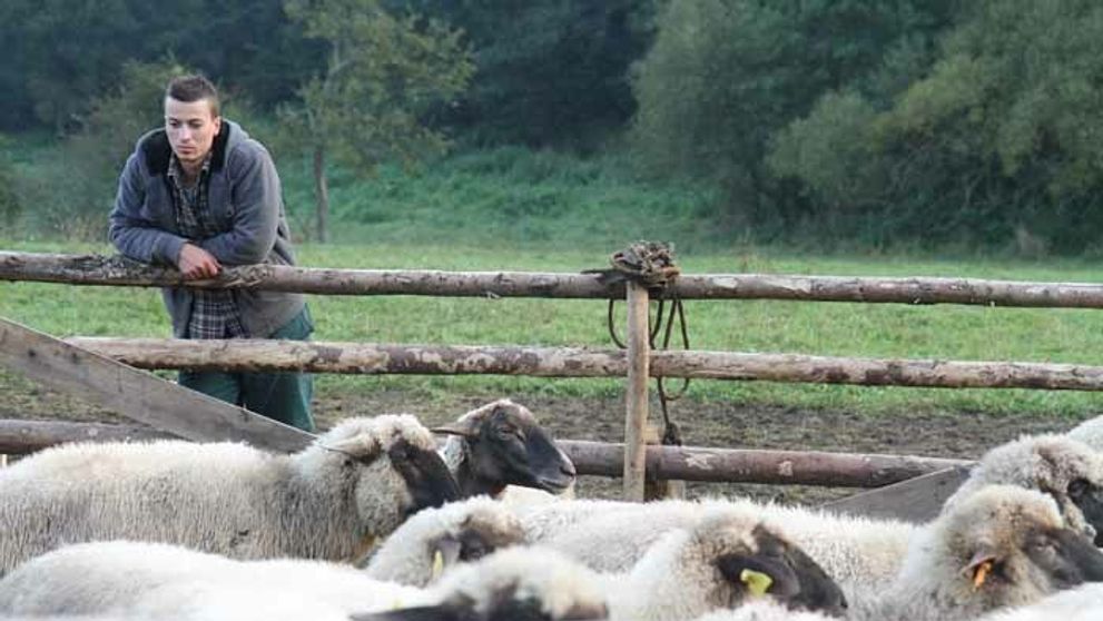 Začala sa vojna medzi chlapmi: Šašovia poondení!
