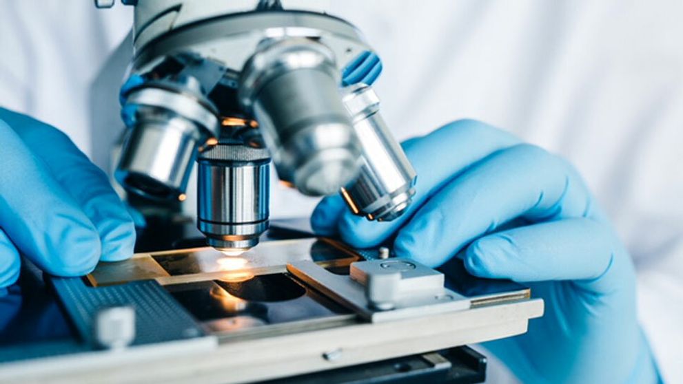 Svet, ako ho nepoznáte, len vďaka špičkovému mikroskopu