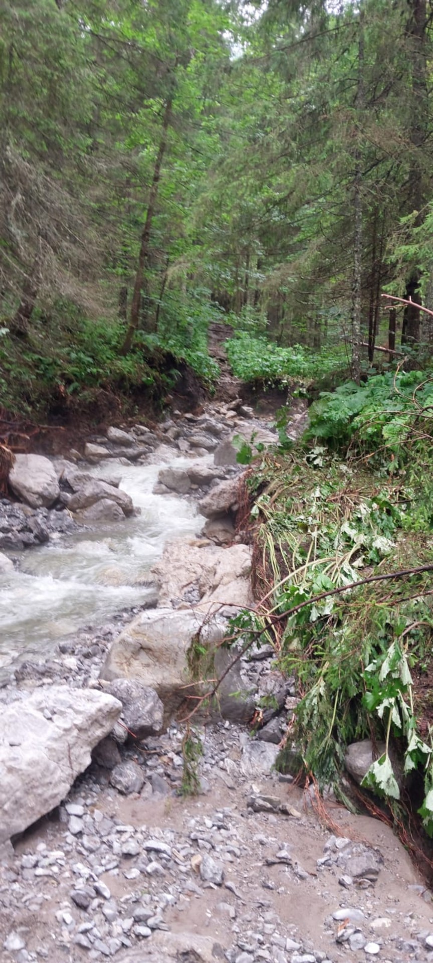 Deň po nešťastí v Monkovej doline.