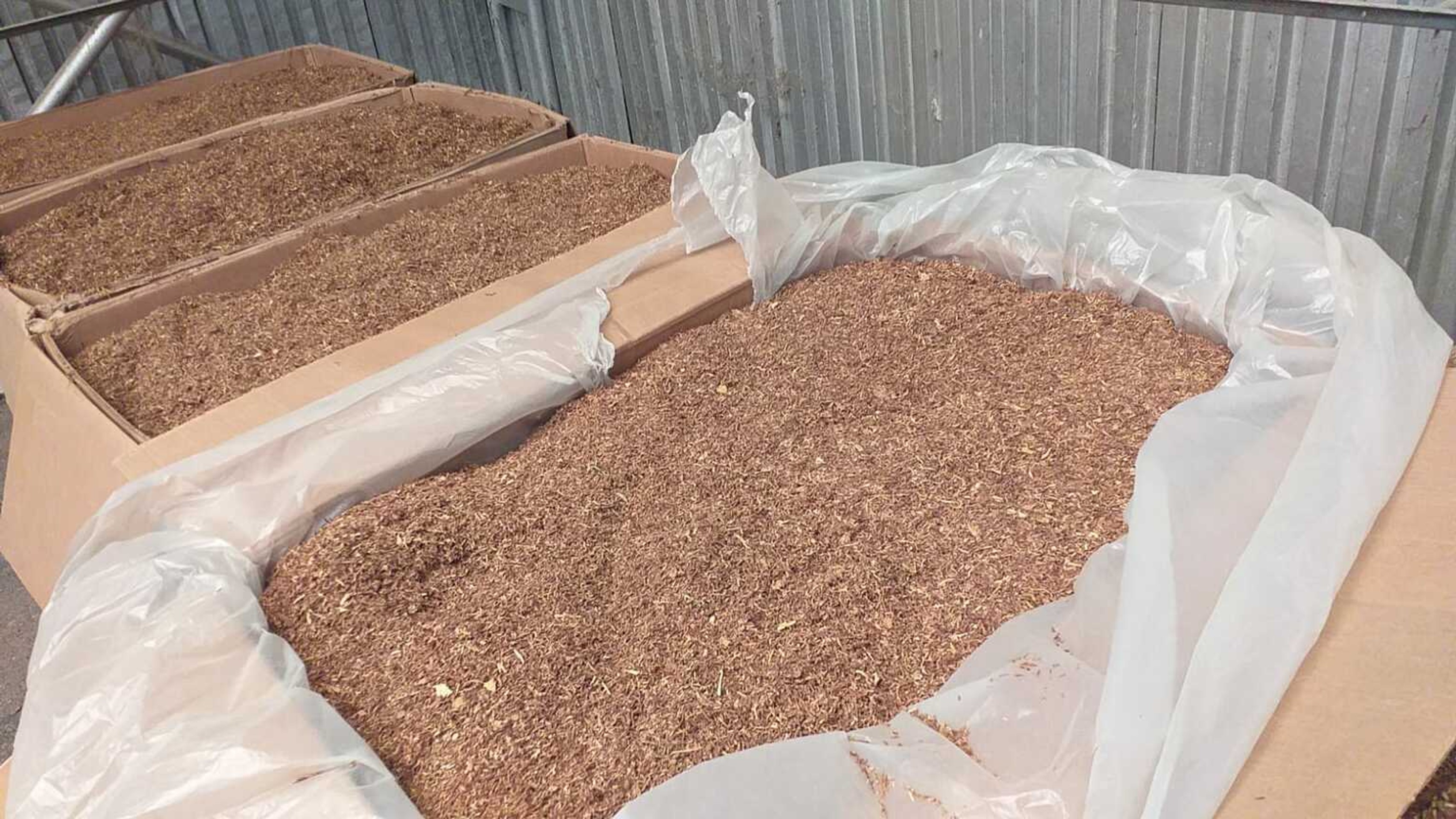 Nelegálny tabak za milión eur.