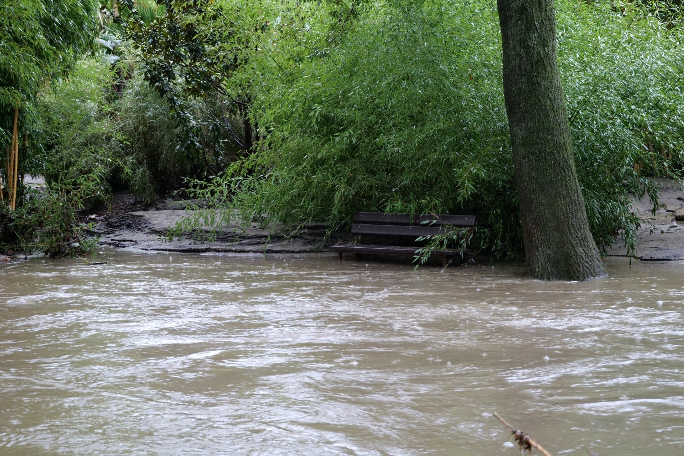 Zasiahnutá Bratislavská ZOO
