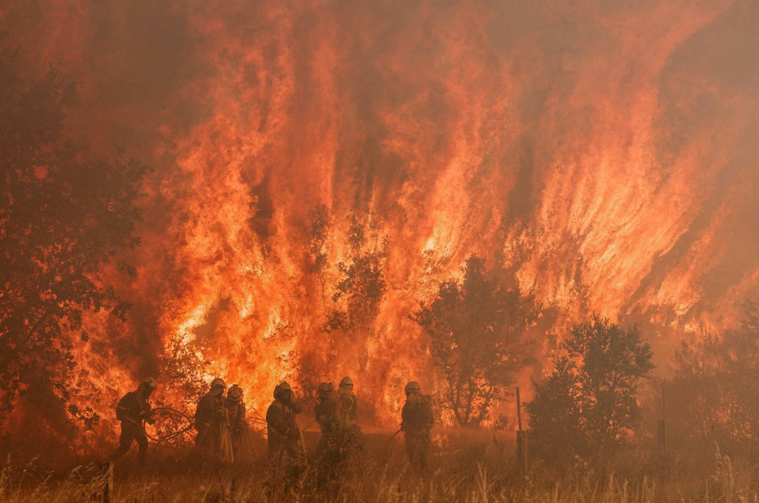Hasiči bojujú s lesným požiarom pri meste Zamora na severe Španielska.